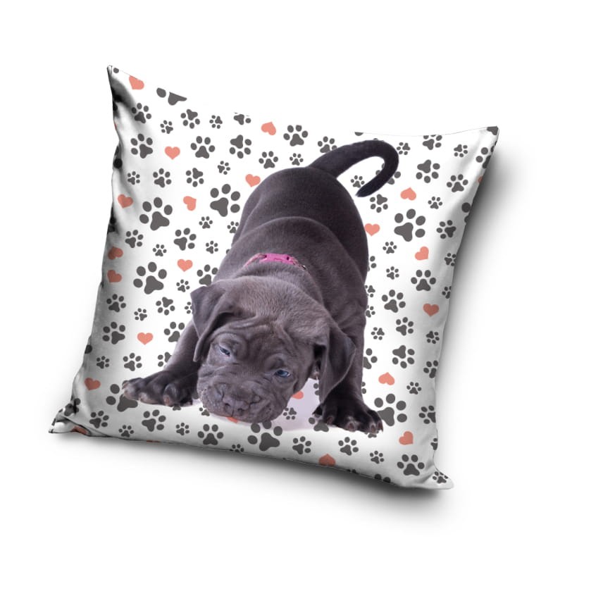 POSZE-L-C-40-DOG-5004