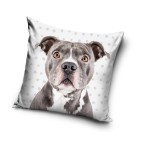 Poszewka Dziecięca 40x40 Pies 5007