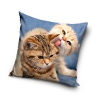 Poszewka Dziecięca Zwierzaki 40x40 Kotki 5046