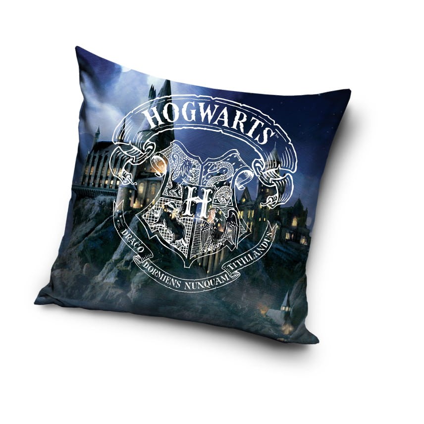 Poszewka Dziecięca 40x40 Harry Potter 2005