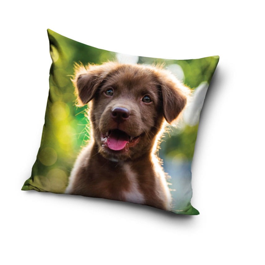 Poszewka Dziecięca Velvet 40x40 Pies 1183